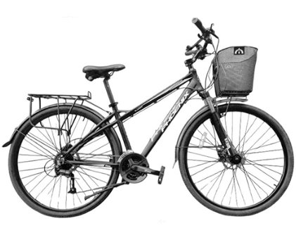 Phoenix Patrol trekking bike