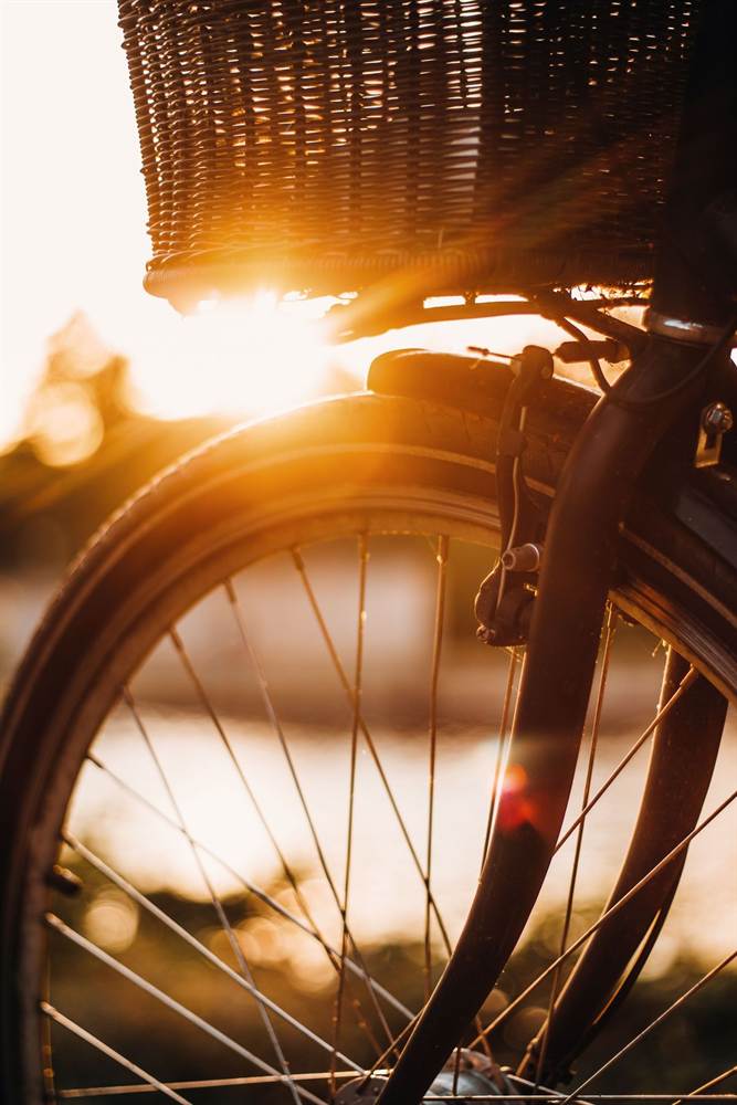 City bike with a front basket in golden sunset light