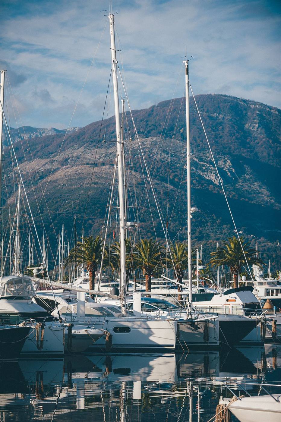 Sailboats in the marina with the mountains of the bay behind